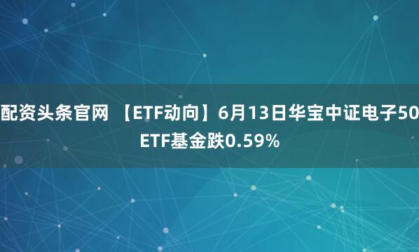 配资头条官网 【ETF动向】6月13日华宝中证电子50ETF基金跌0.59%