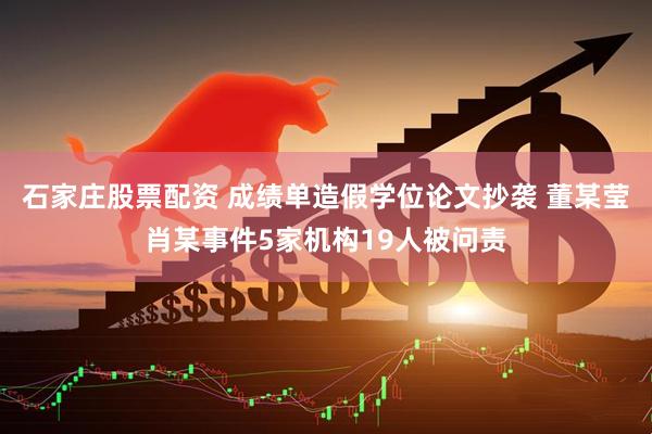 石家庄股票配资 成绩单造假学位论文抄袭 董某莹肖某事件5家机构19人被问责